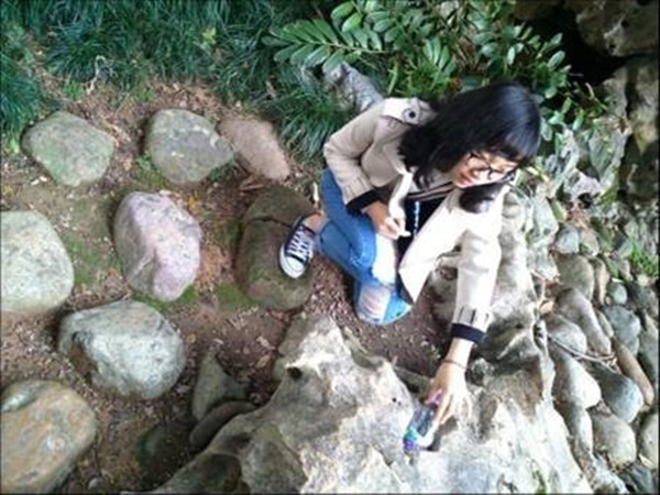 1512718615636009.jpg 2.jpg